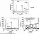 Fig. 11 - HYDROMETALLURGY PROCESS FOR RECYCLING LI-ION BATTERY MATERIALS