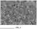 Fig. 02 - COATING COMPOSITION FOR SEPARATOR MEMBRANE, COMPOSITE SEPARATOR MEMBRANE, BATTERY CELL, BATTERY, AND ELECTRICAL APPLIANCE