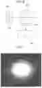 Fig. 06 - LASER SYSTEM, LASER PROCESSING METHOD, AND INTERPOSER MANUFACTURING METHOD