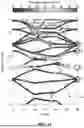 Fig. 14 - QUANTUM CASCADE LASER ELEMENT