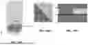 Fig. 15 - QUANTUM CASCADE LASER ELEMENT