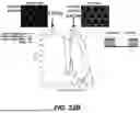 Fig. 24 - QUANTUM CASCADE LASER ELEMENT