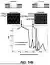 Fig. 28 - QUANTUM CASCADE LASER ELEMENT