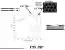 Fig. 32 - QUANTUM CASCADE LASER ELEMENT