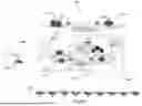 Fig. 10 - SYSTEMS AND METHODS FOR POINT TO-POINT WIRELESS POWER TRANSMISSION FOR BEAM RIDING, POWER AND DATA DISTRIBUTION SHARING, WIRELESSLY POWERED MOBILE SYSTEMS