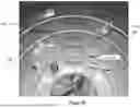 Fig. 29 - SYSTEMS AND METHODS FOR POINT TO-POINT WIRELESS POWER TRANSMISSION FOR BEAM RIDING, POWER AND DATA DISTRIBUTION SHARING, WIRELESSLY POWERED MOBILE SYSTEMS