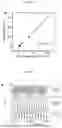 Fig. 04 - PHOTOSENSITIVE RING OSCILLATOR PREPARATION METHOD AND ARTIFICIAL RETINA THEREOF