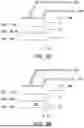 Fig. 03 - GLITCH PREVENTING INPUT/OUTPUT CIRCUITS