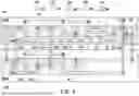 Fig. 05 - GLITCH PREVENTING INPUT/OUTPUT CIRCUITS