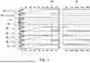 Fig. 08 - GLITCH PREVENTING INPUT/OUTPUT CIRCUITS