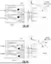 Fig. 08 - APPARATUS AND METHODS FOR FAST AND ACCURATE BIASING OF LOW NOISE AMPLIFIERS