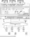 Fig. 01 - MULTIPLE TIMING SOURCE-SYNCHRONIZED ACCESS POINT AND RADIO UNIT FOR DAS AND RAN