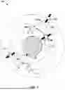 Fig. 02 - OPTICAL COMMUNICATION SYSTEM USING SPATIAL MODE MULTIPLEXING