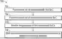 Fig. 01 - SYNCHRONIZING SYSTEMS ON A CHIP USING TIME SYNCHRONIZATION MESSAGES