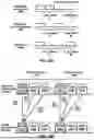 Fig. 11 - Feedback Indication for Hybrid Automatic Repeat Request Enablement