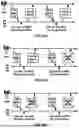Fig. 30 - Feedback Indication for Hybrid Automatic Repeat Request Enablement