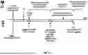 Fig. 33 - Feedback Indication for Hybrid Automatic Repeat Request Enablement