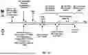 Fig. 36 - Feedback Indication for Hybrid Automatic Repeat Request Enablement