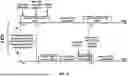 Fig. 38 - Feedback Indication for Hybrid Automatic Repeat Request Enablement
