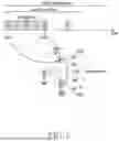 Fig. 03 - METHOD AND APPARATUS FOR ENERGY SAVINGS IN WIRELESS COMMUNICATION SYSTEM