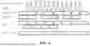 Fig. 07 - SIGNALING METHOD FOR MULTI-USER TRANSMISSION, AND WIRELESS COMMUNICATION TERMINAL AND WIRELESS COMMUNICATION METHOD USING SAME