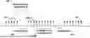Fig. 01 - Secondary Cell Management in Wireless Communications