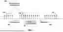 Fig. 02 - Secondary Cell Management in Wireless Communications