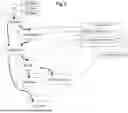 Fig. 03 - PROGRAMMATIC OMNICHANNEL ORCHESTRATION IN LARGE-SCALE MESSAGING SYSTEMS