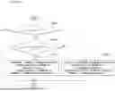 Fig. 24 - METHOD FOR PROCESSING IMAGE ON BASIS OF TRANSFORM AND DEVICE THEREFOR