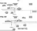 Fig. 16 - FOCUS CONTROL APPARATUS, IMAGING APPARATUS, AND FOCUS CONTROL METHOD