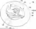 Fig. 01 - OUTER EAR STRUCTURE AND OUTER EAR MODULE OF RECORDING SYSTEM