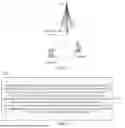 Fig. 02 - Method for Updating Secondary Key, Terminal, Network-Side Device, and Non-Transitory Readable Storage Medium