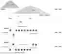 Fig. 57 - SYSTEM, METHOD, AND APPARATUS FOR PROVIDING DYNAMIC, PRIORITIZED SPECTRUM MANAGEMENT AND UTILIZATION
