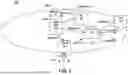 Fig. 05 - INITIAL BEAM MANAGEMENT FOR NETWORK CONTROLLED REPEATER DEPLOYMENTS