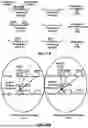 Fig. 12 - PUCCH Cell Switching and CSI Reporting