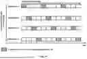 Fig. 18 - PUCCH Cell Switching and CSI Reporting