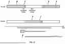 Fig. 28 - PUCCH Cell Switching and CSI Reporting