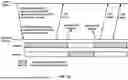 Fig. 33 - PUCCH Cell Switching and CSI Reporting