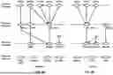 Fig. 06 - Transmission and Reception Point Configuration for Beam Failure Recovery