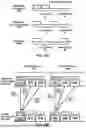 Fig. 11 - Transmission and Reception Point Configuration for Beam Failure Recovery