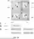 Fig. 22 - SYSTEMS AND METHODS FOR FRACTIONAL CARRIER SENSE MULTIPLE ACCESS WITH COLLISION AVOIDANCE (CSMA/CA) FOR WLANS