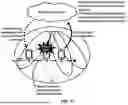 Fig. 18 - Radio Link Failure Reporting
