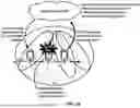 Fig. 19 - Radio Link Failure Reporting