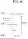 Fig. 04 - METHOD AND APPARATUS FOR CONTROLLING PLURALITY OF TIMERS AND PLURALITY OF BEARERS FOR RRC CONNECTION RESUMPTION AND DATA TRANSFER IN MOBILE WIRELESS COMMUNICATION SYSTEM
