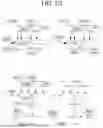 Fig. 12 - METHOD AND APPARATUS FOR CONTROLLING PLURALITY OF TIMERS AND PLURALITY OF BEARERS FOR RRC CONNECTION RESUMPTION AND DATA TRANSFER IN MOBILE WIRELESS COMMUNICATION SYSTEM