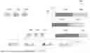 Fig. 06 - ADJUSTMENT INDICATIONS AND ASSOCIATED ACKNOWLEDGEMENTS FOR EXTENDED REALITY (XR) COMMUNICATIONS