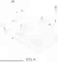 Fig. 07 - PRINTED CIRCUIT BOARD LAMINATED DEVICE