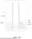 Fig. 11 - HEAT DISSIPATION DEVICE