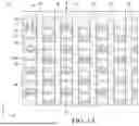 Fig. 02 - SEMICONDUCTOR DEVICE HAVING LANDING PAD AND METHOD FOR MANUFACTURING THE SAME