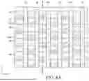 Fig. 17 - SEMICONDUCTOR DEVICE HAVING LANDING PAD AND METHOD FOR MANUFACTURING THE SAME